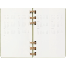 Еженедельник MOLESKINE Academic Spiral Large 150×210 мм, киви DHSPK5212AMWH3